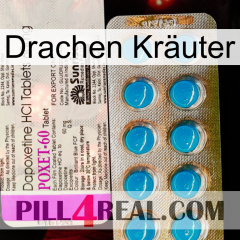 Drachen Kräuter new07